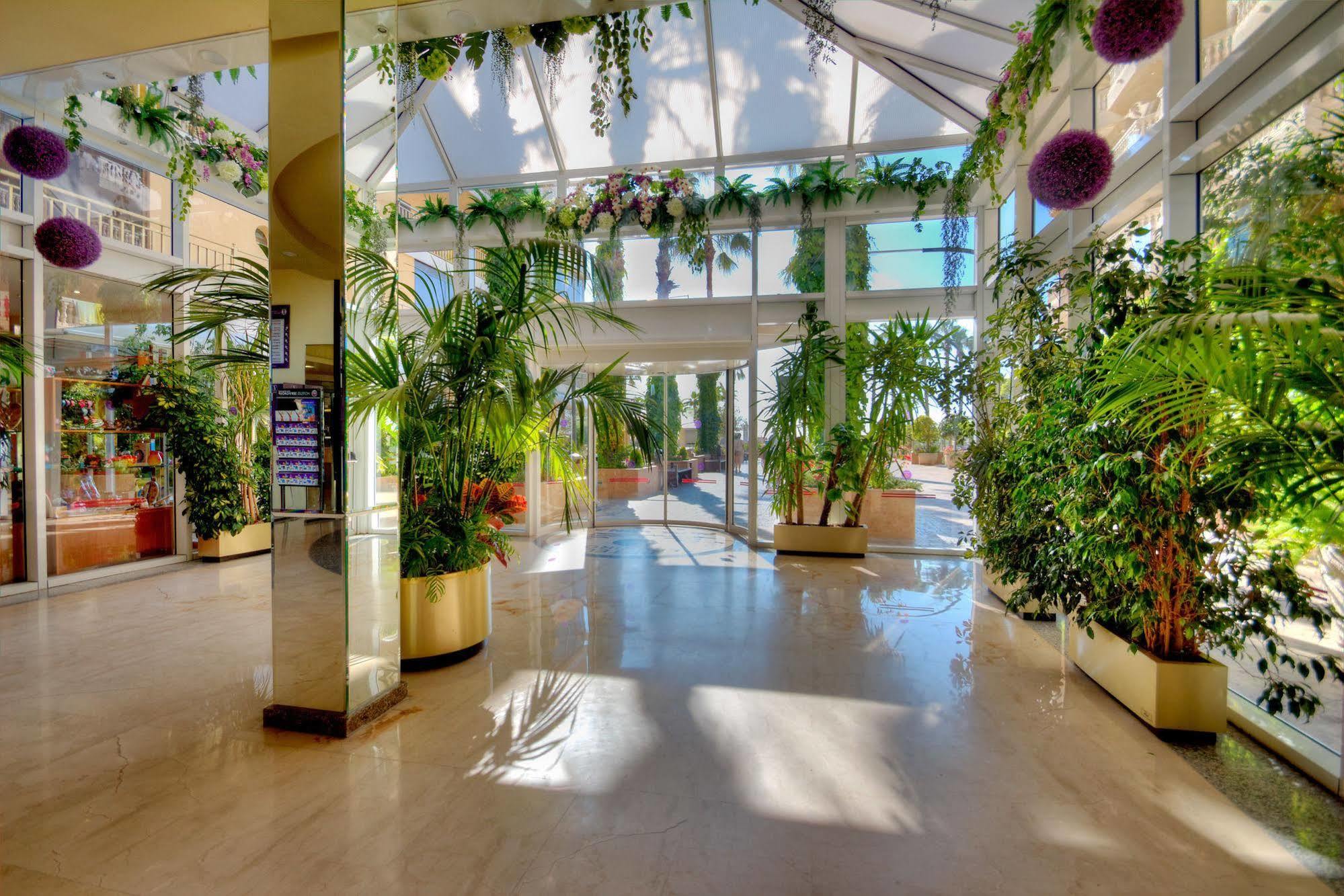 Peñíscola Hotel Servigroup Papa Luna מראה חיצוני תמונה